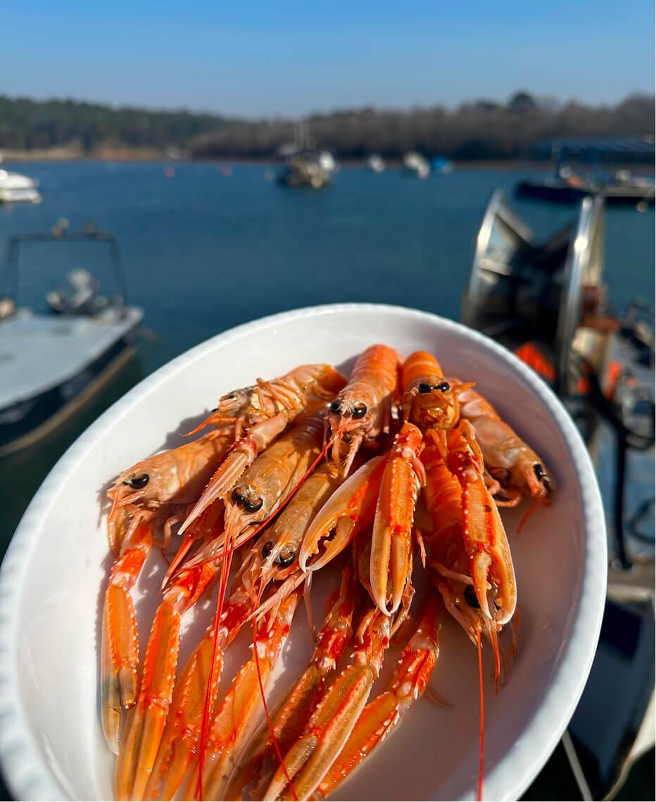 Plate of seafood